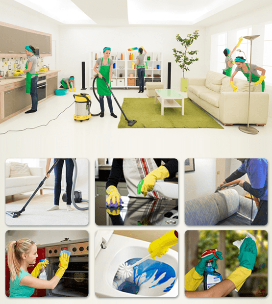 Domestic deals cleaning agency